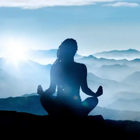 MEDITATION & PETS COMPANIONSHIP