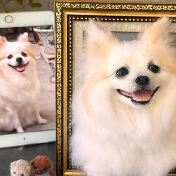 COZHOM handmade pet portrait needle felting supplies