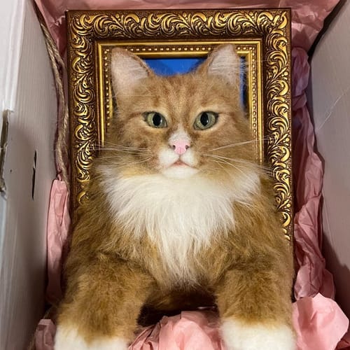COZHOM handmade pet portrait needle felting supplies