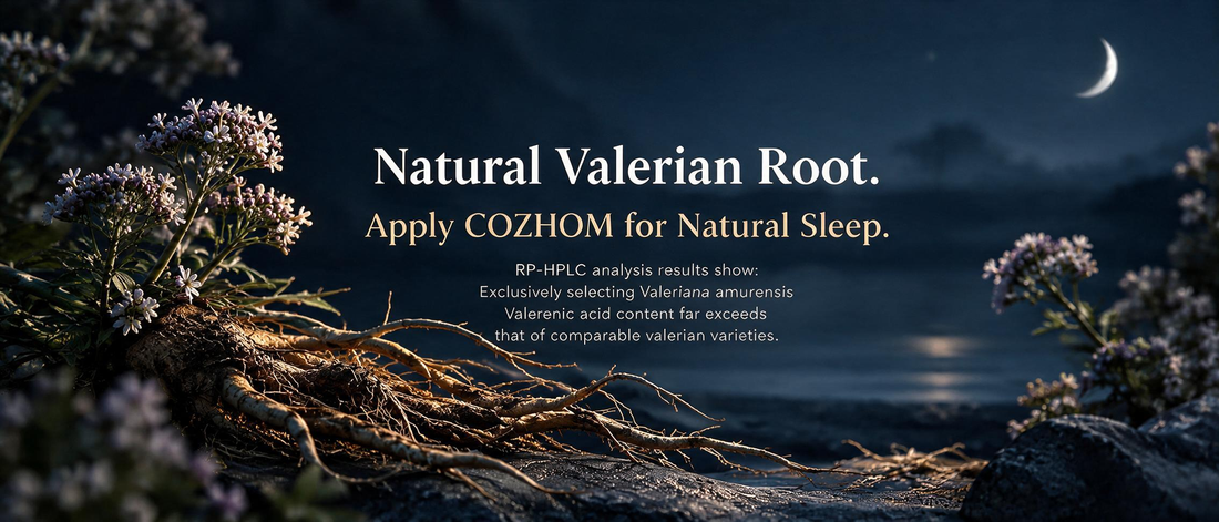 Best Valerian for Sleep: Why Valeriana amurensis Deserves a Closer Look