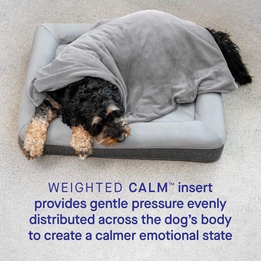 Dog weighted Blankets for calming or calming blanket for dogs