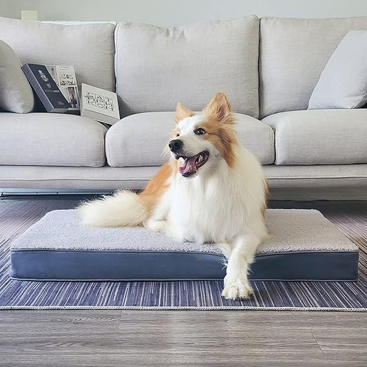 Best dog beds for bed on sale including large or small dog bed
