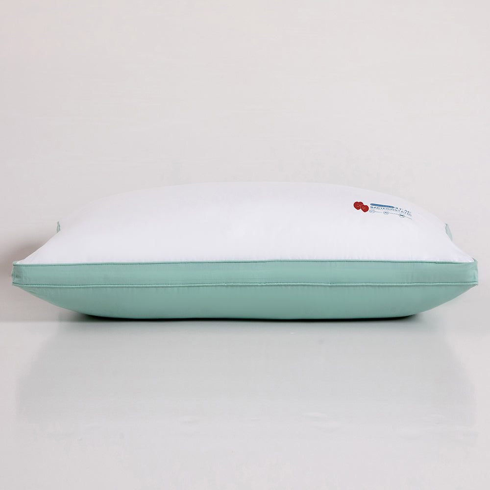 Bacteriostatic waterproof antifouling pillow (MOQ 30 PCS)