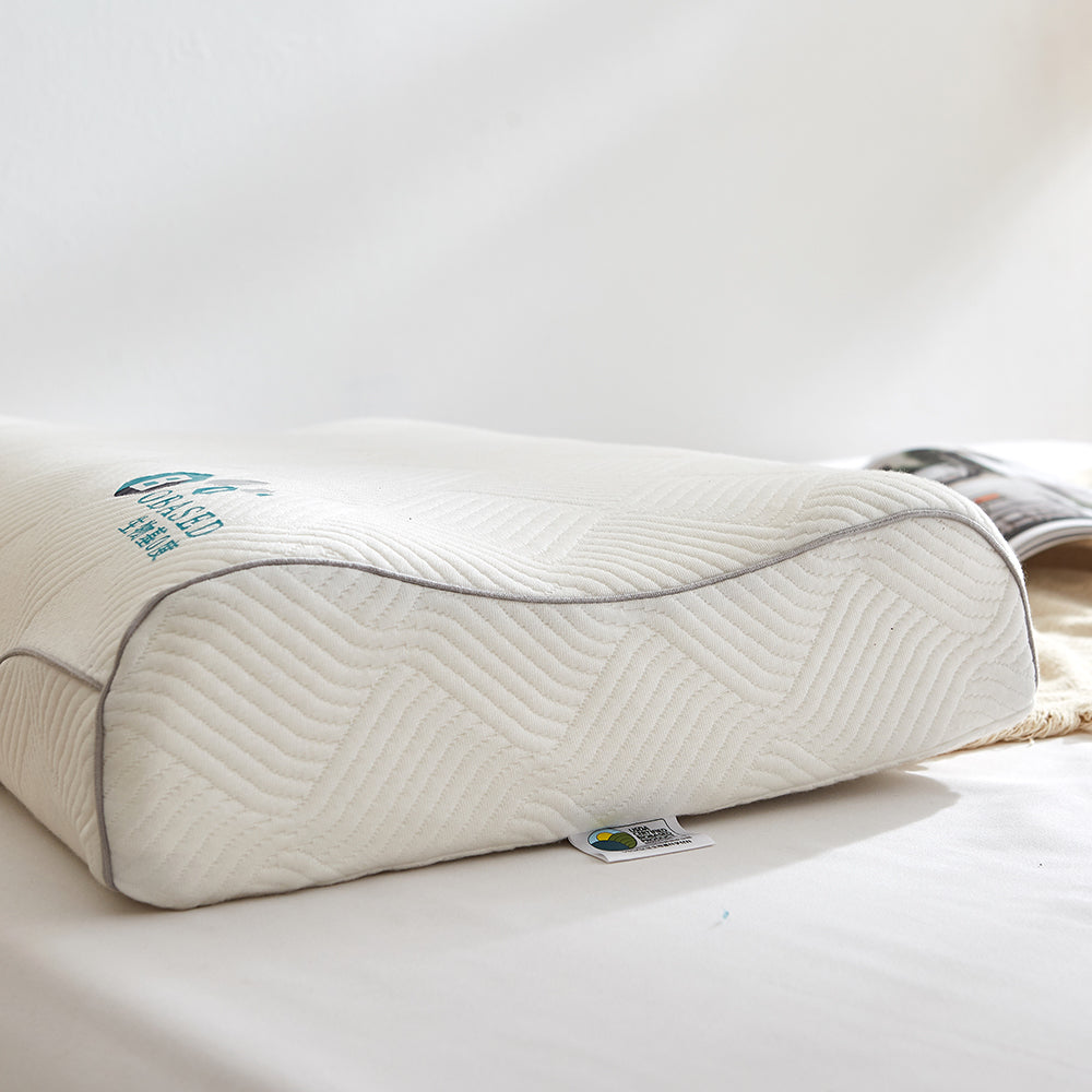 Best bio based memory foam pillow（Obtained 14 certifications）DB