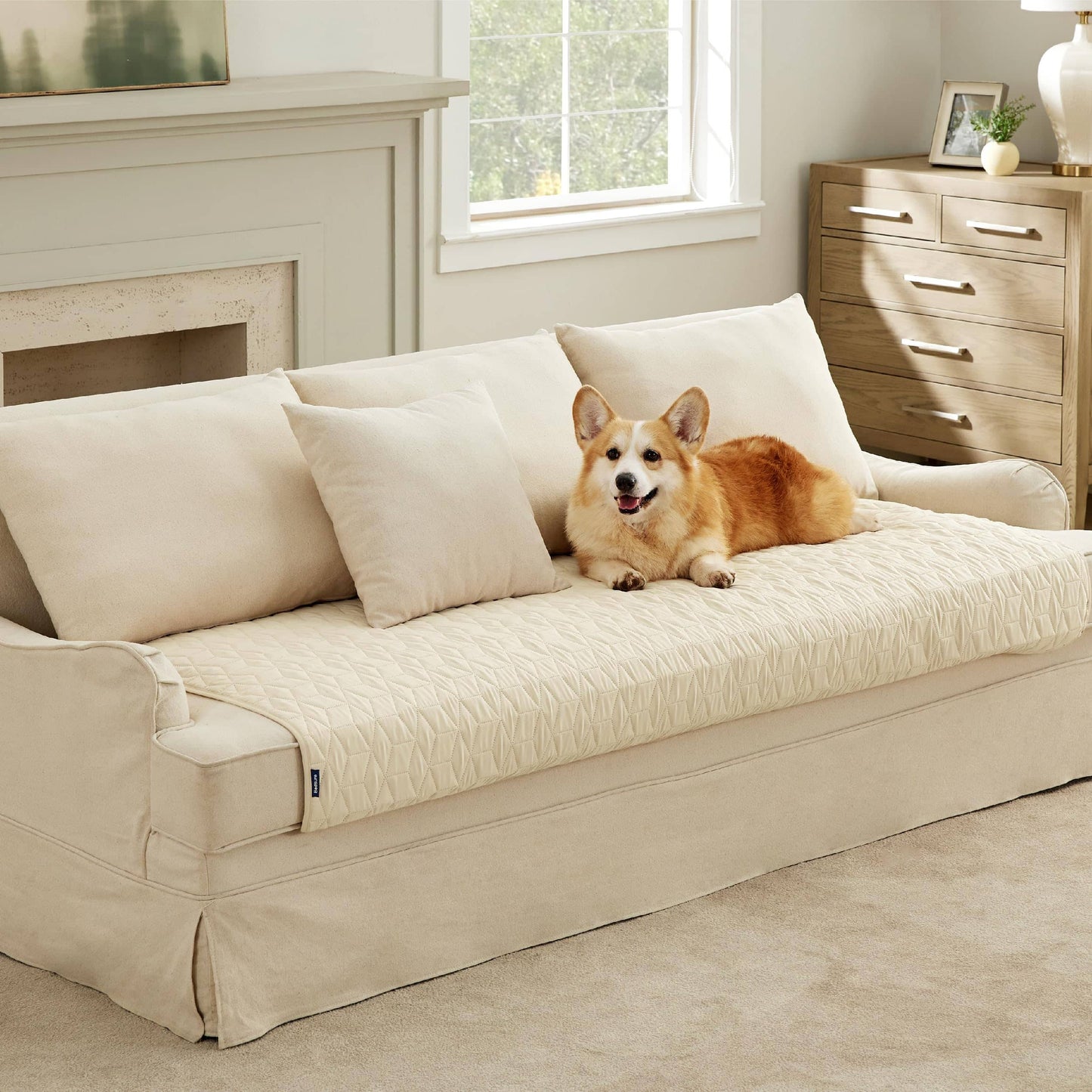 Pet Sofa Protector or sofa covers for pets or for dogs
