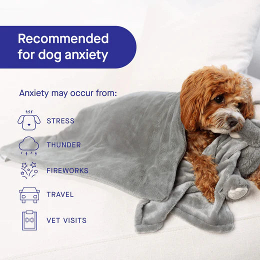 Dog weighted Blankets for calming or calming blanket for dogs