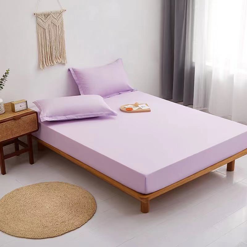 Brushed Microfiber 100% Polyester antibacterial sheets(MOQ 30PCS)