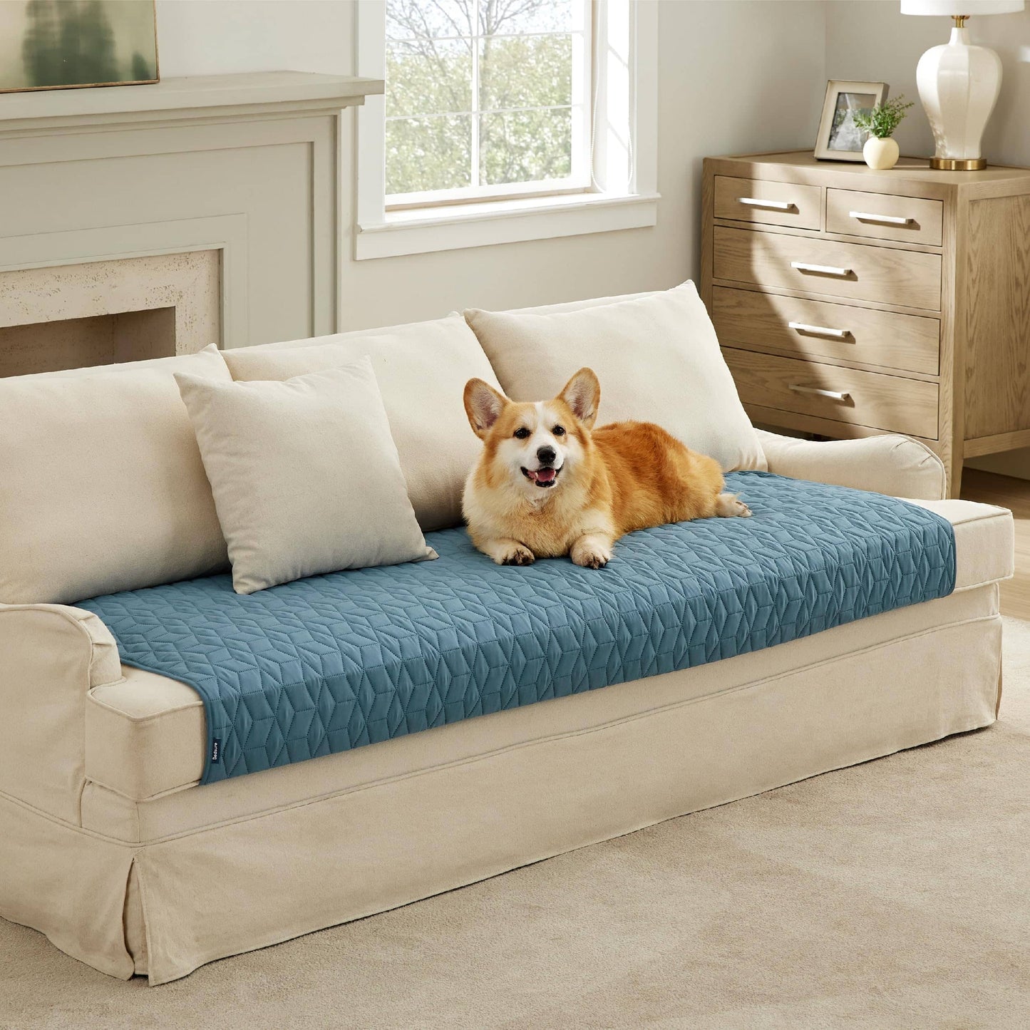 Pet Sofa Protector or sofa covers for pets or for dogs