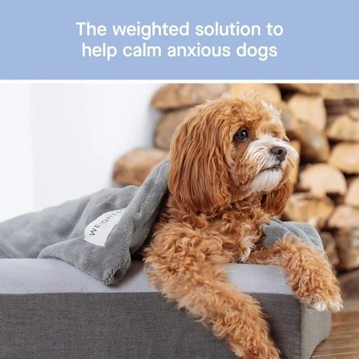 Dog weighted Blankets for calming or calming blanket for dogs